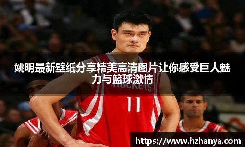 姚明最新壁纸分享精美高清图片让你感受巨人魅力与篮球激情