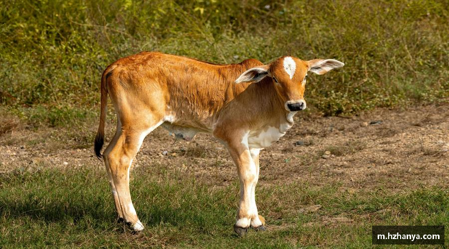 专业品质，打造精彩！